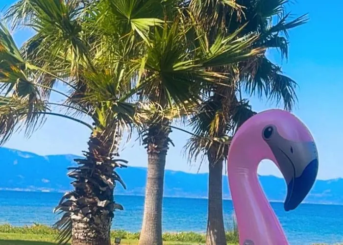 别墅 Beachfront Duplex 3-br In Pelitkoey, Access